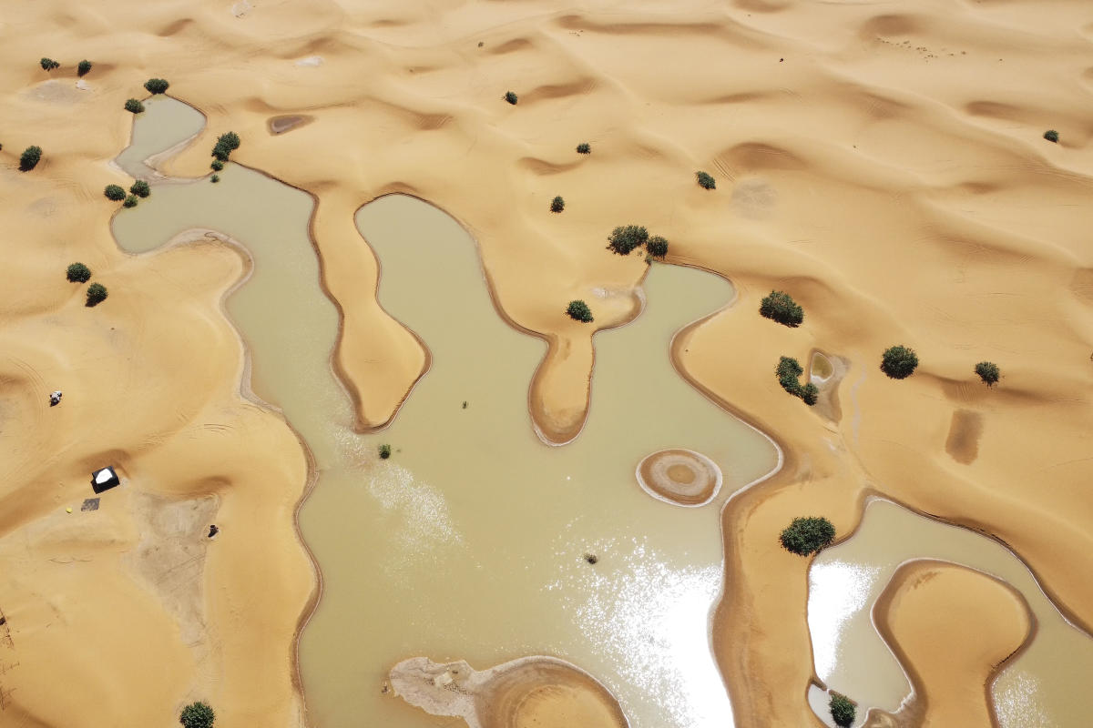 El agua brota entre palmeras y dunas de arena después de una rara lluvia en el desierto del Sahara